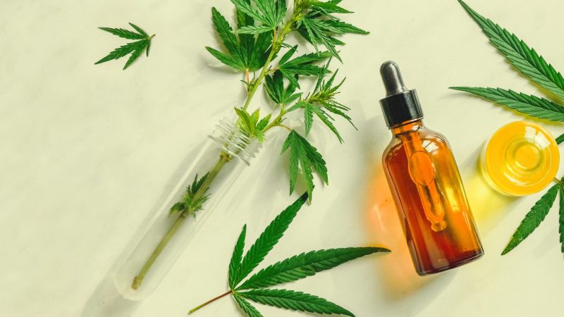 Access to Reliable Information about CBD Law