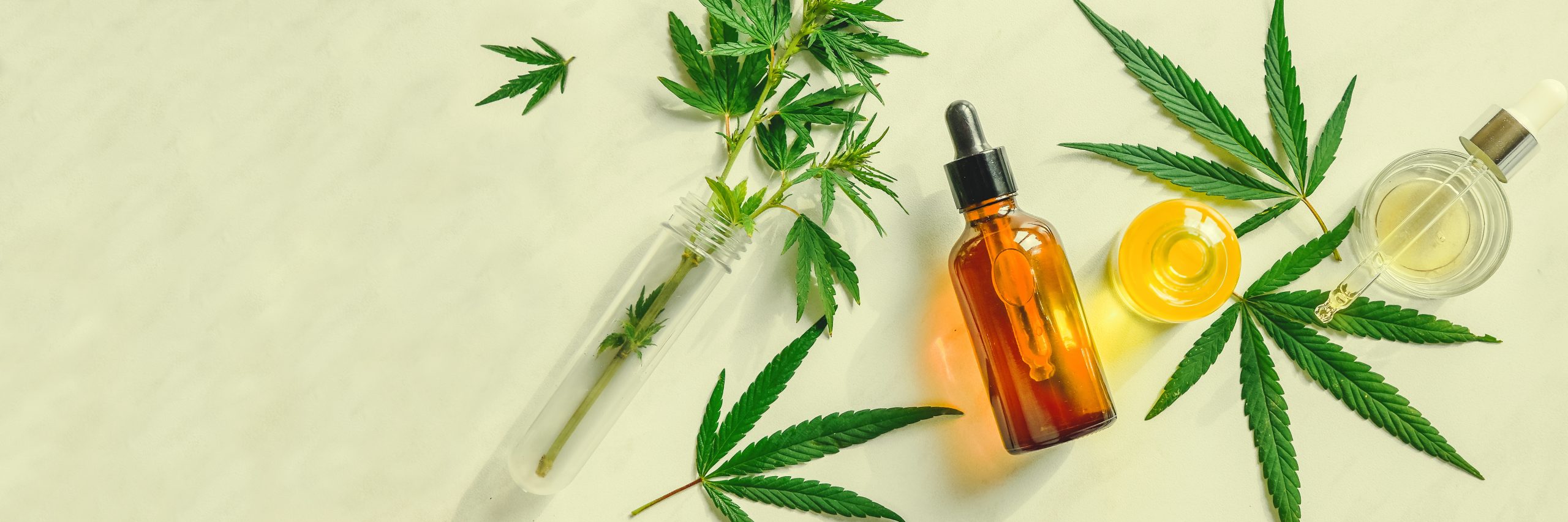Access to Reliable Information about CBD Law