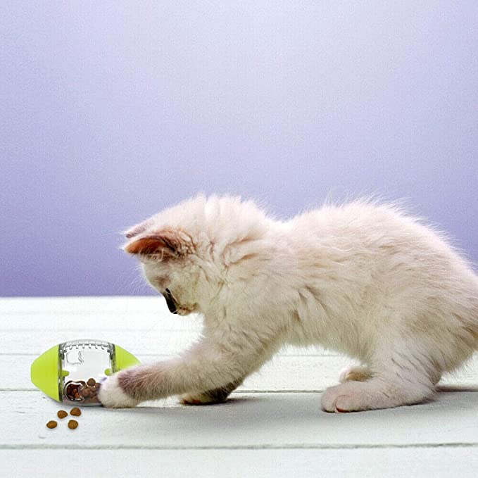 Spice Up Your Cats’ Food With These Buying Tips