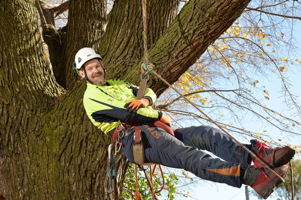 Best ways to Access Tree Maintenance Services with Reliability