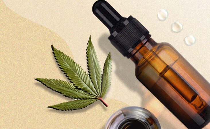 Flavor Profiles Bringing Greater Variety To Modern CBD Oil Choices